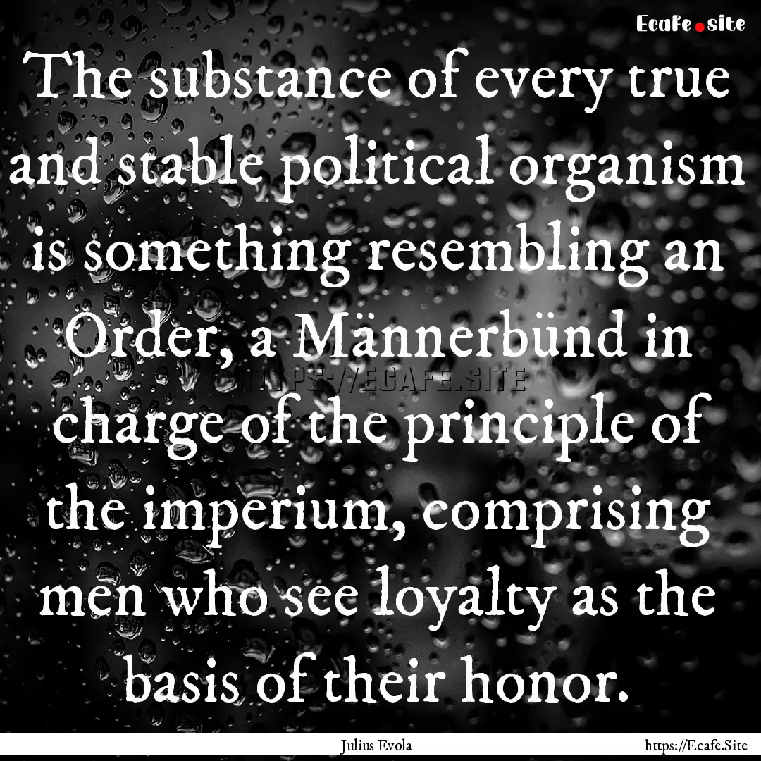 The substance of every true and stable political.... : Quote by Julius Evola