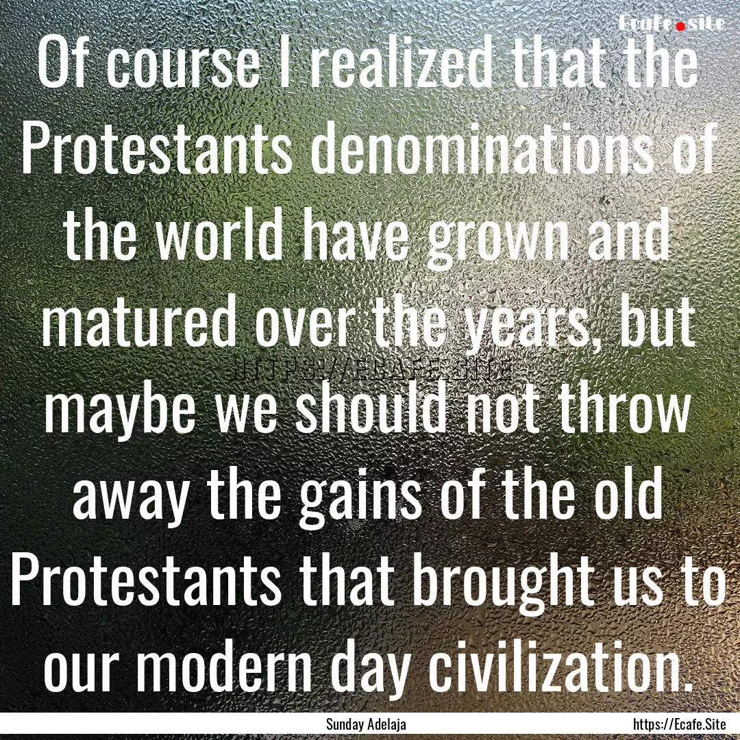 Of course I realized that the Protestants.... : Quote by Sunday Adelaja