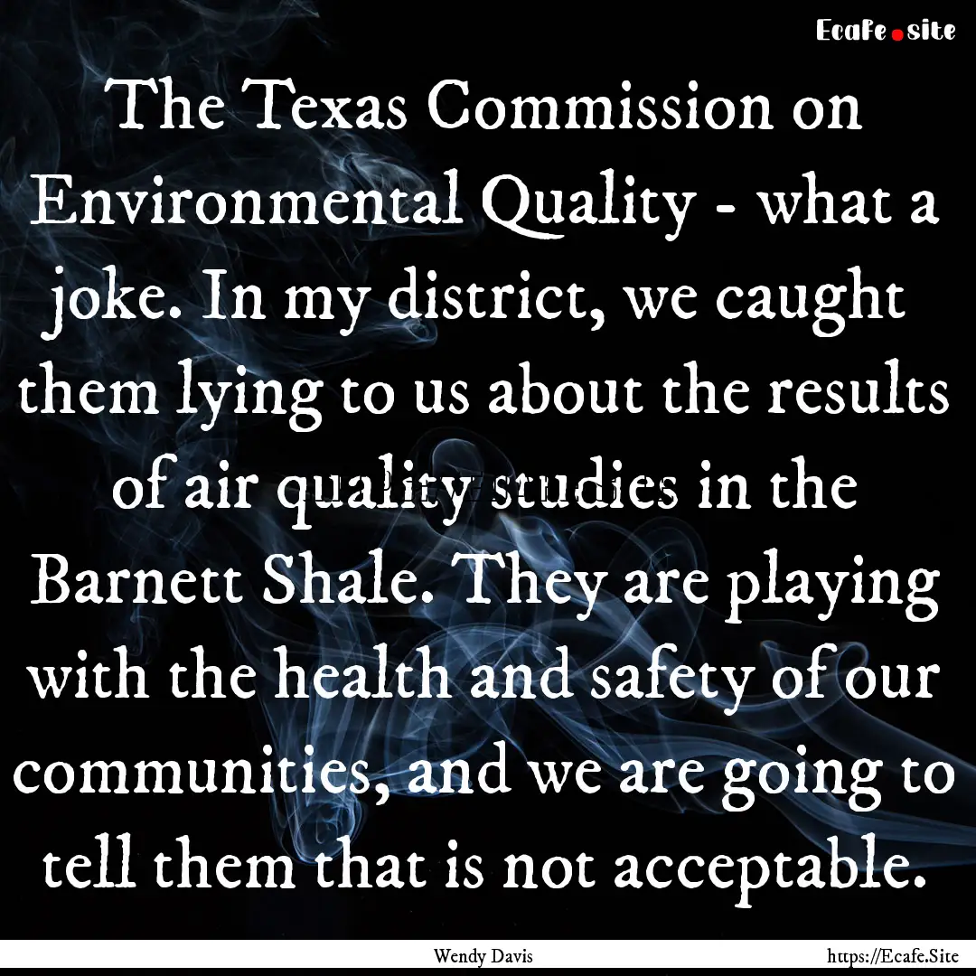 The Texas Commission on Environmental Quality.... : Quote by Wendy Davis