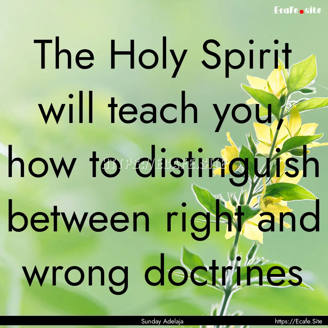 The Holy Spirit will teach you, how to distinguish.... : Quote by Sunday Adelaja