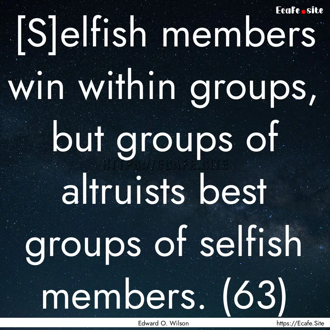 [S]elfish members win within groups, but.... : Quote by Edward O. Wilson