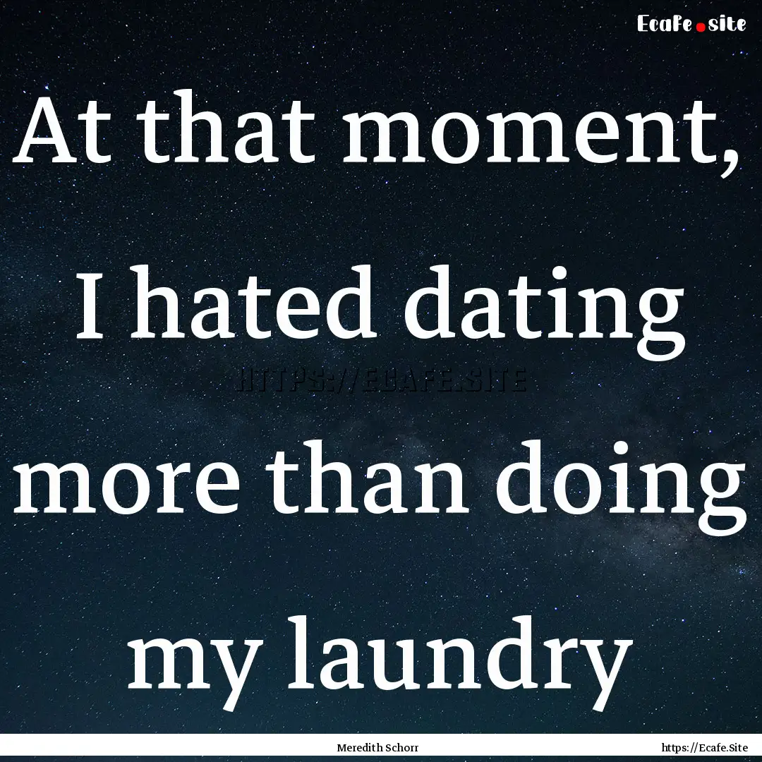 At that moment, I hated dating more than.... : Quote by Meredith Schorr