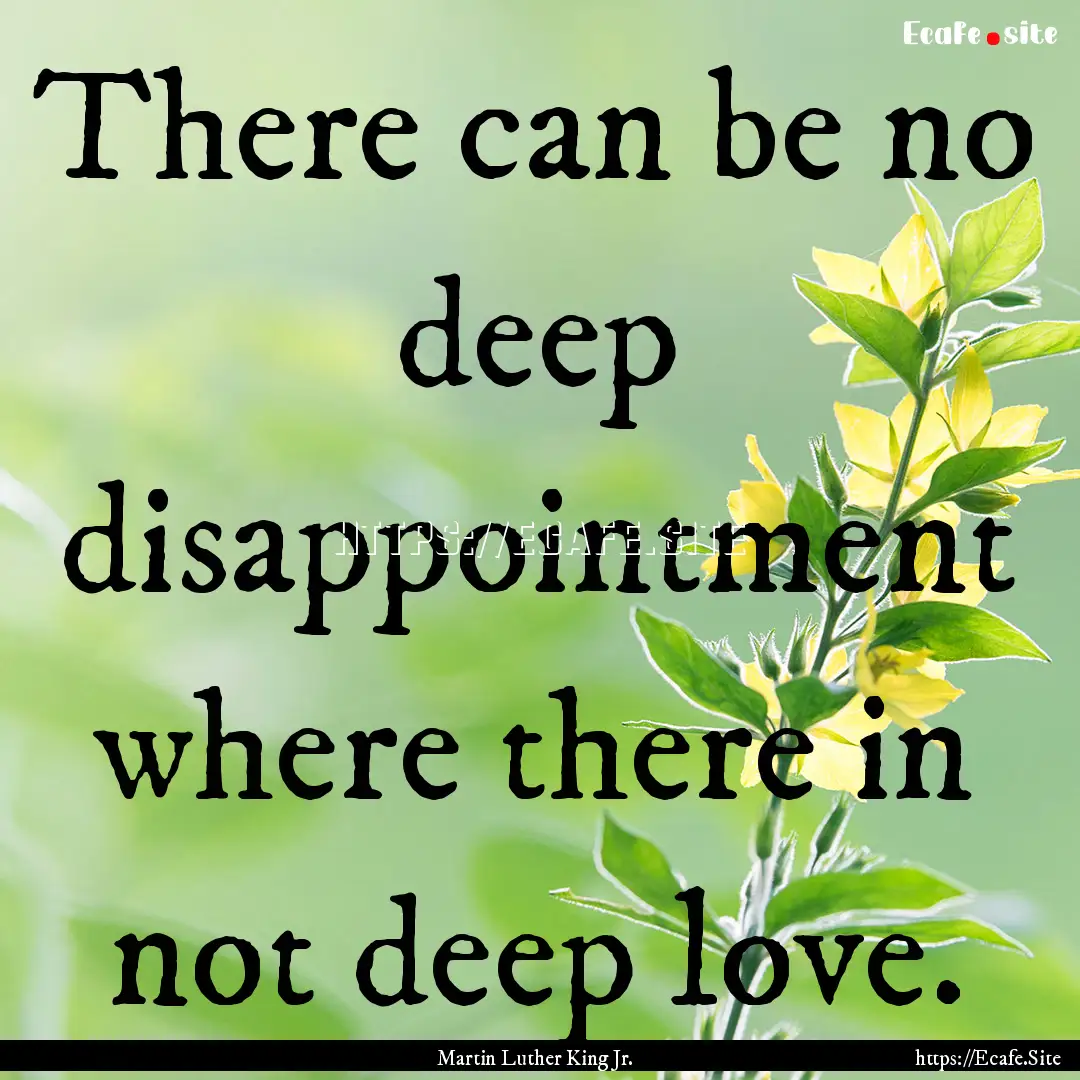 There can be no deep disappointment where.... : Quote by Martin Luther King Jr.