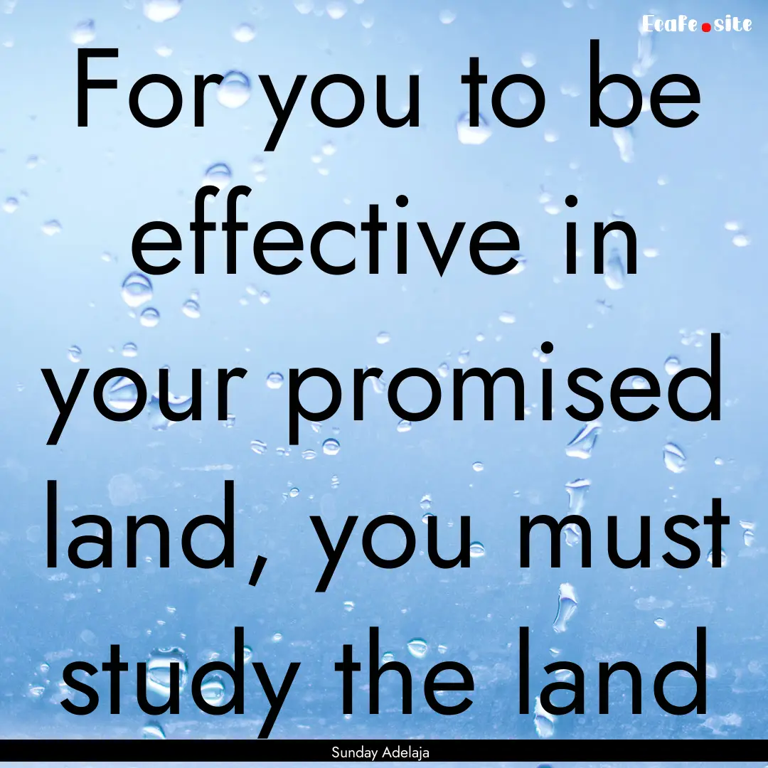 For you to be effective in your promised.... : Quote by Sunday Adelaja