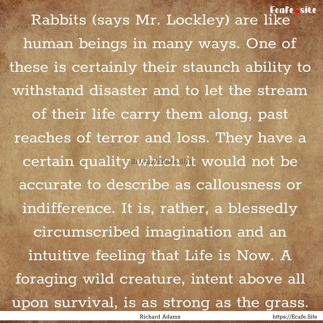 Rabbits (says Mr. Lockley) are like human.... : Quote by Richard Adams