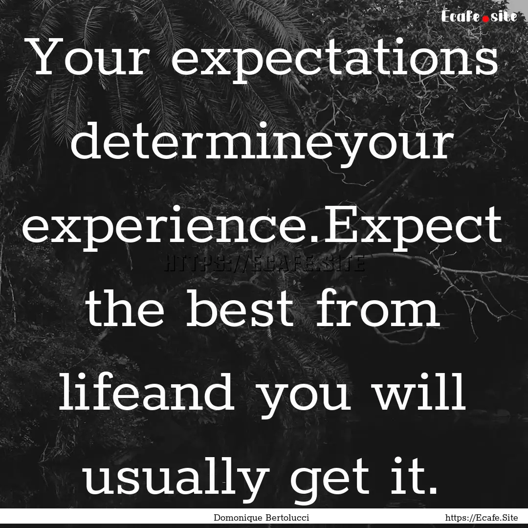 Your expectations determineyour experience.Expect.... : Quote by Domonique Bertolucci