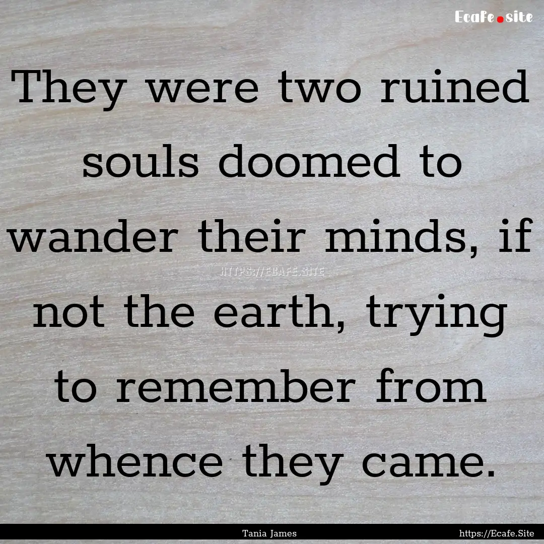 They were two ruined souls doomed to wander.... : Quote by Tania James