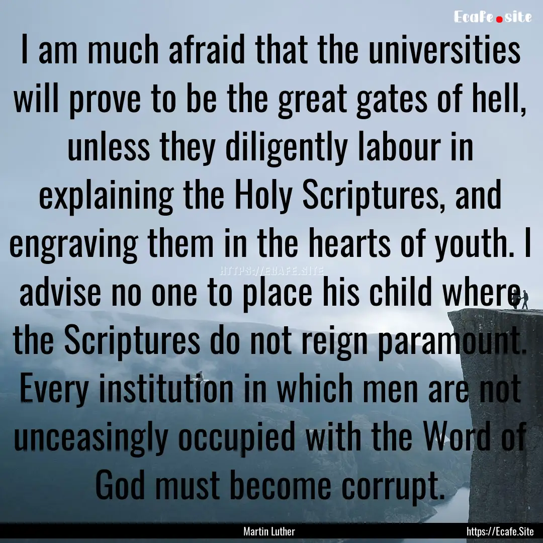 I am much afraid that the universities will.... : Quote by Martin Luther