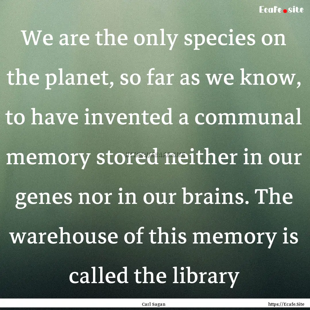 We are the only species on the planet, so.... : Quote by Carl Sagan