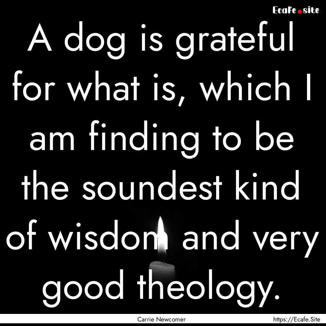 A dog is grateful for what is, which I am.... : Quote by Carrie Newcomer