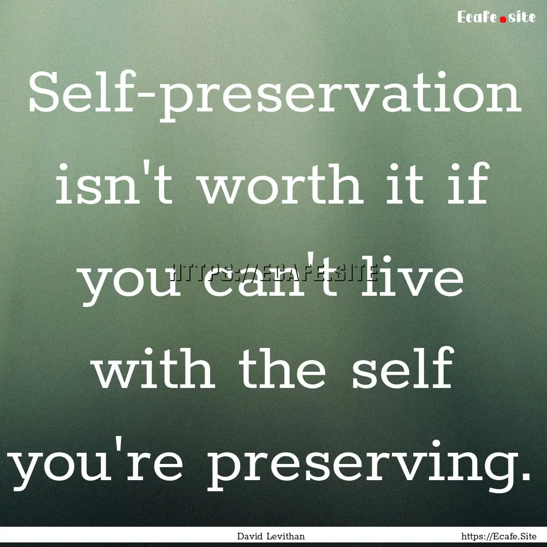 Self-preservation isn't worth it if you can't.... : Quote by David Levithan