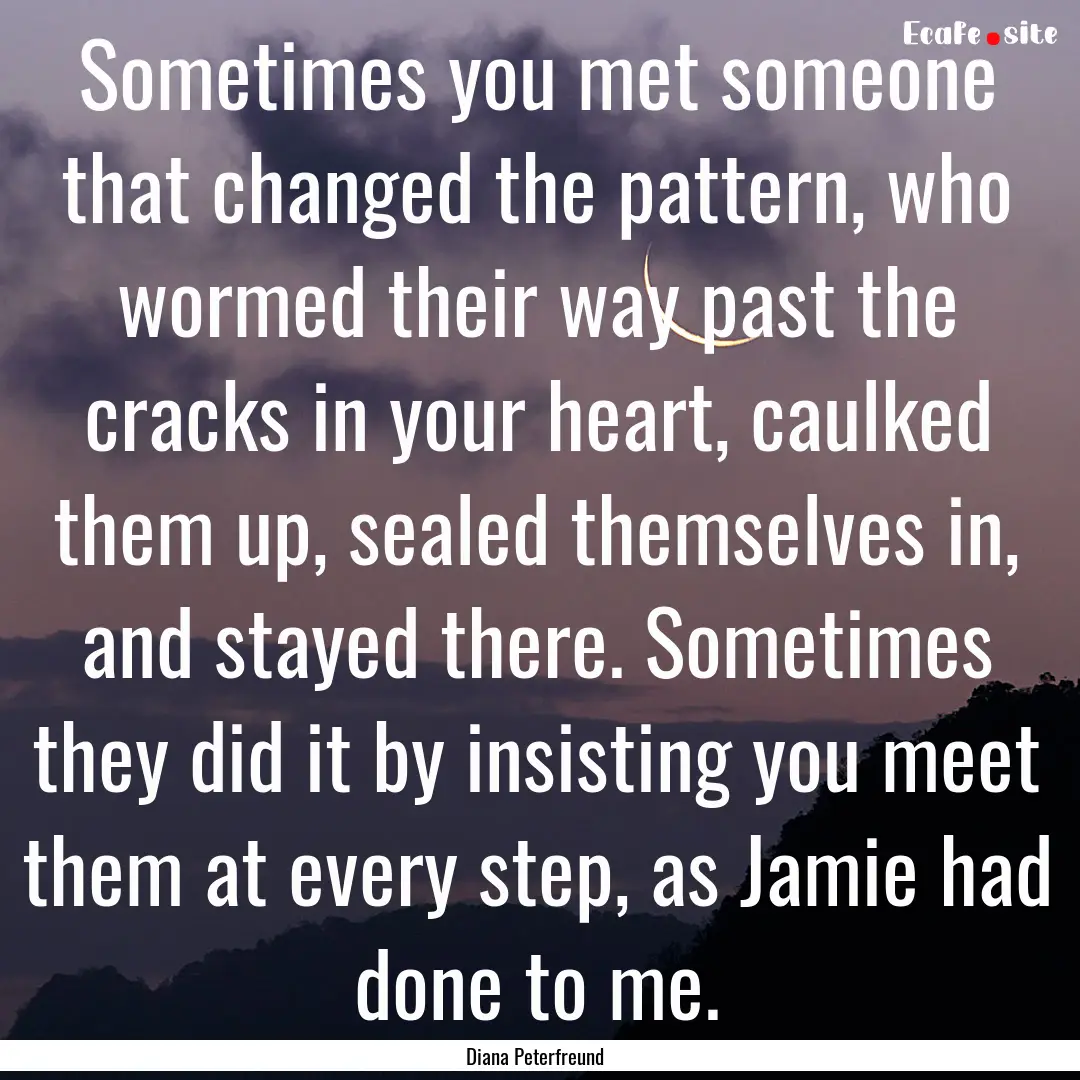 Sometimes you met someone that changed the.... : Quote by Diana Peterfreund