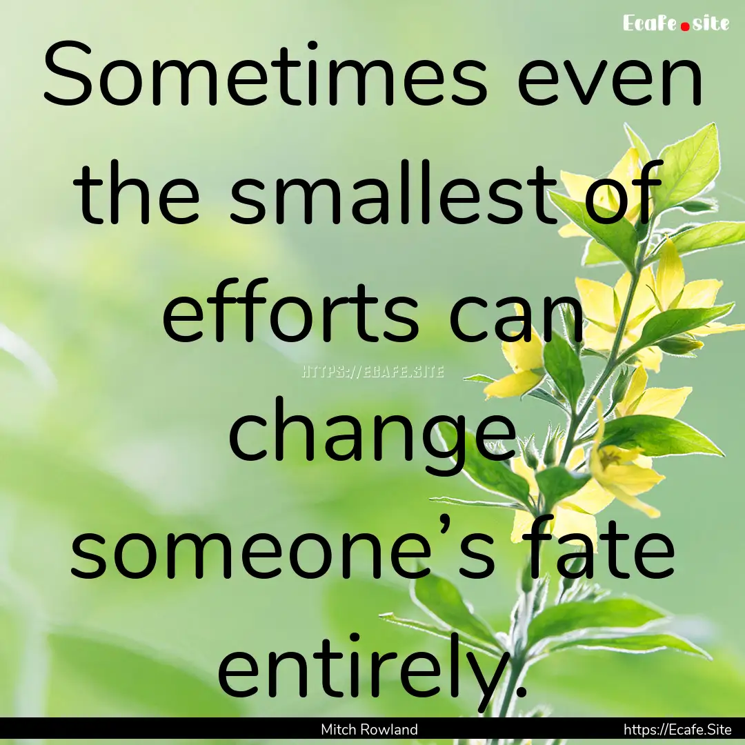 Sometimes even the smallest of efforts can.... : Quote by Mitch Rowland