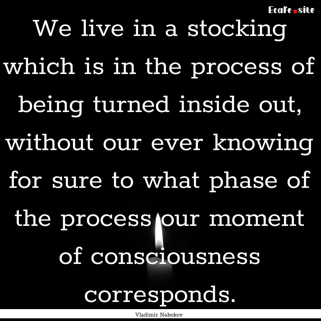 We live in a stocking which is in the process.... : Quote by Vladimir Nabokov