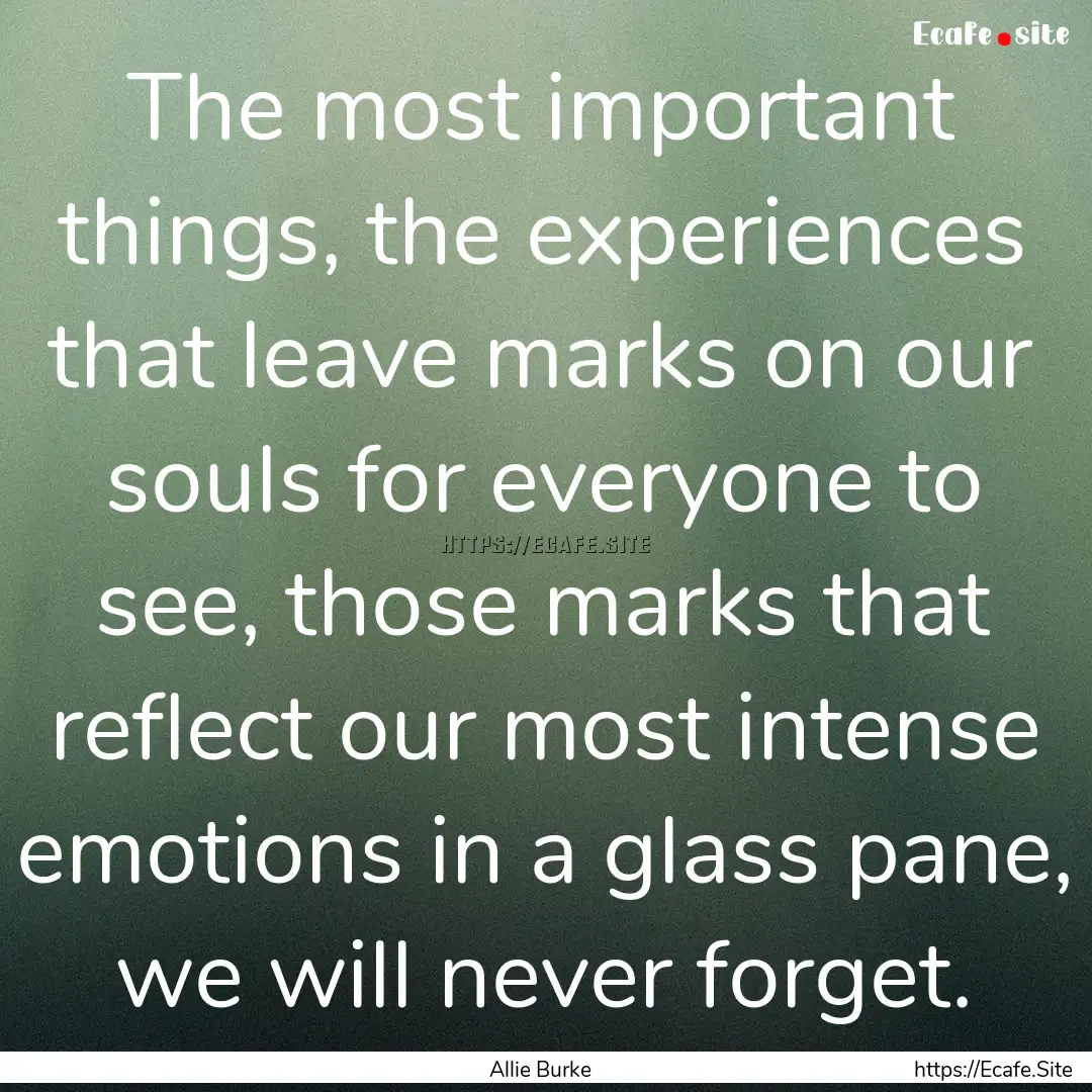 The most important things, the experiences.... : Quote by Allie Burke