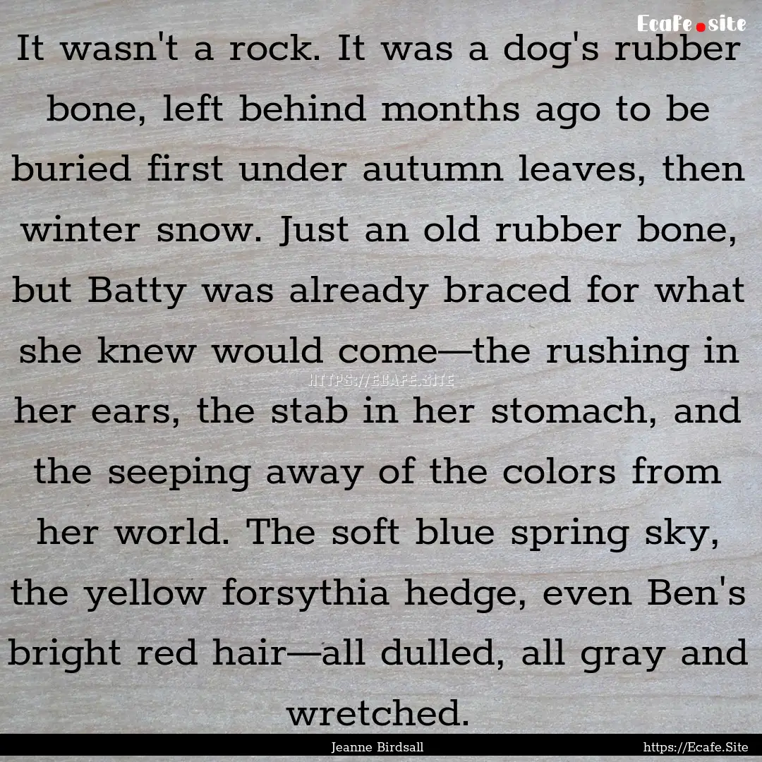 It wasn't a rock. It was a dog's rubber bone,.... : Quote by Jeanne Birdsall