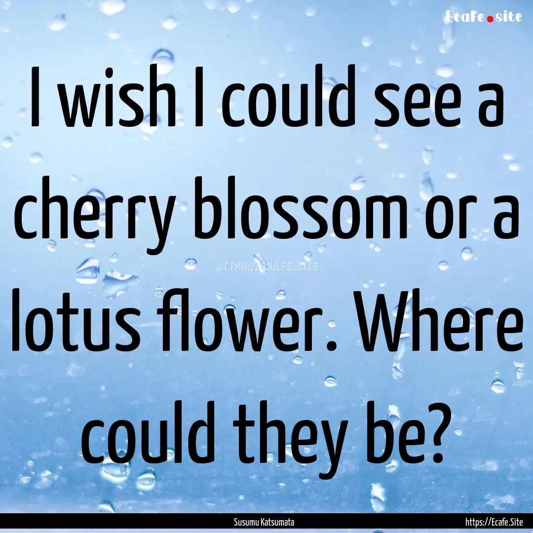 I wish I could see a cherry blossom or a.... : Quote by Susumu Katsumata