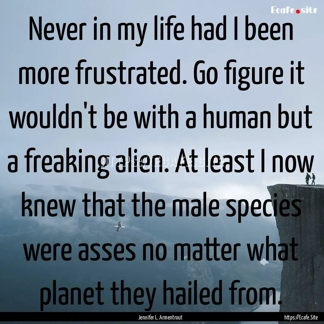 Never in my life had I been more frustrated..... : Quote by Jennifer L. Armentrout