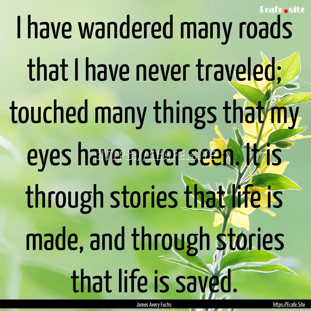 I have wandered many roads that I have never.... : Quote by James Avery Fuchs