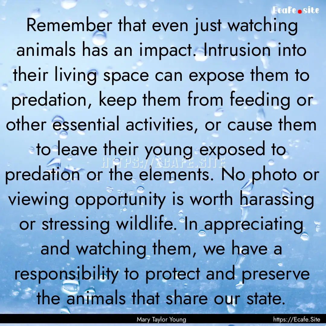 Remember that even just watching animals.... : Quote by Mary Taylor Young