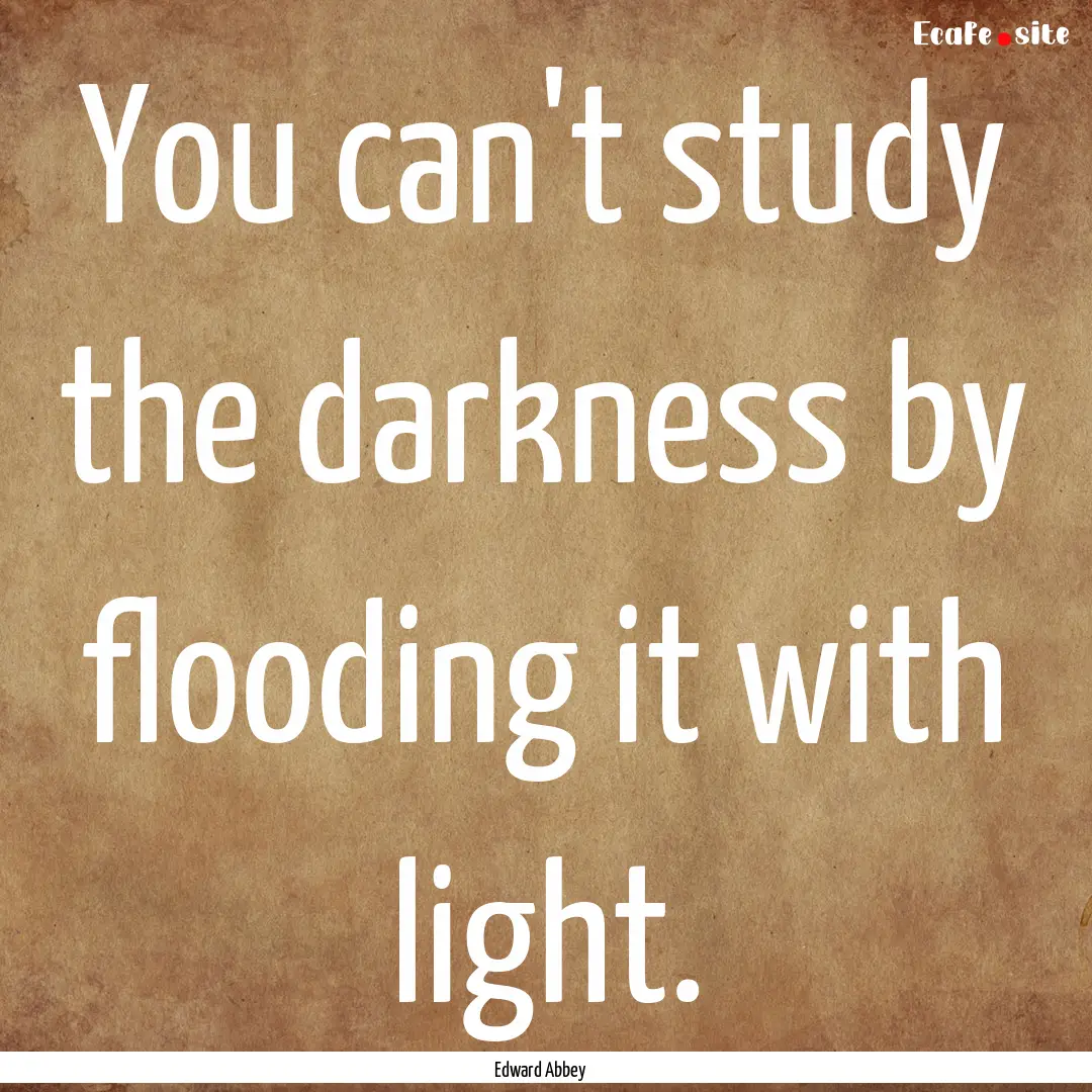 You can't study the darkness by flooding.... : Quote by Edward Abbey