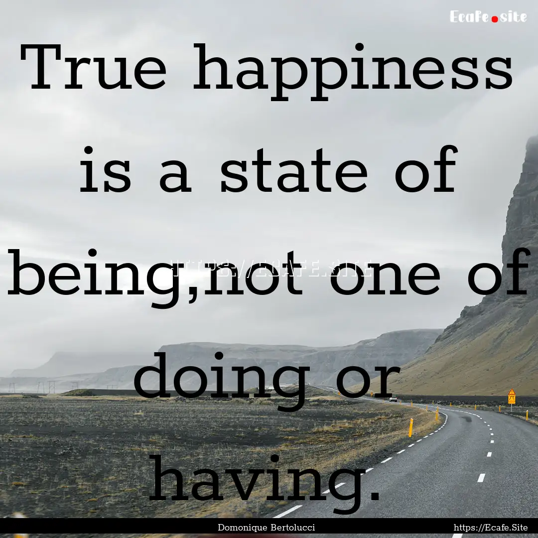 True happiness is a state of being,not one.... : Quote by Domonique Bertolucci