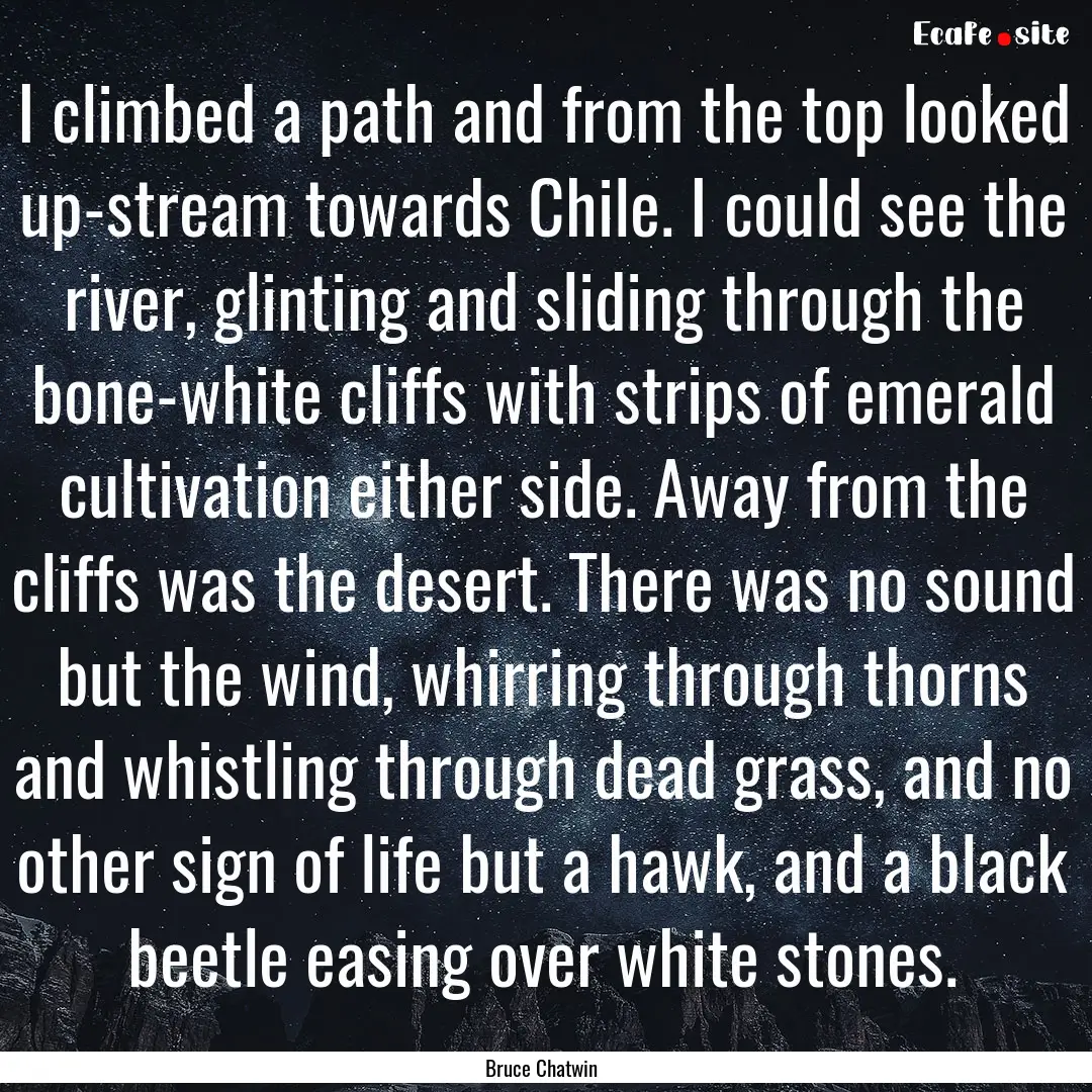 I climbed a path and from the top looked.... : Quote by Bruce Chatwin