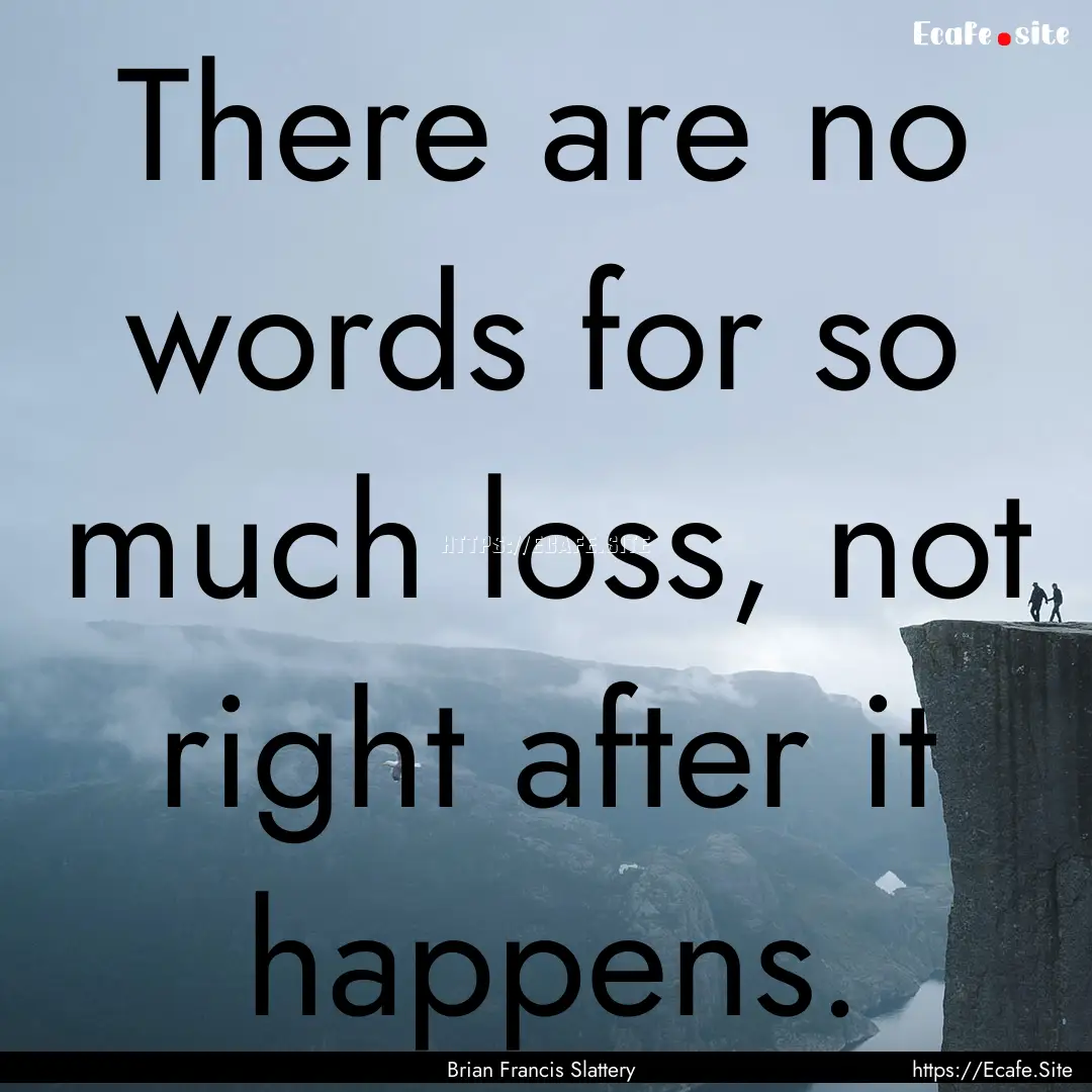 There are no words for so much loss, not.... : Quote by Brian Francis Slattery