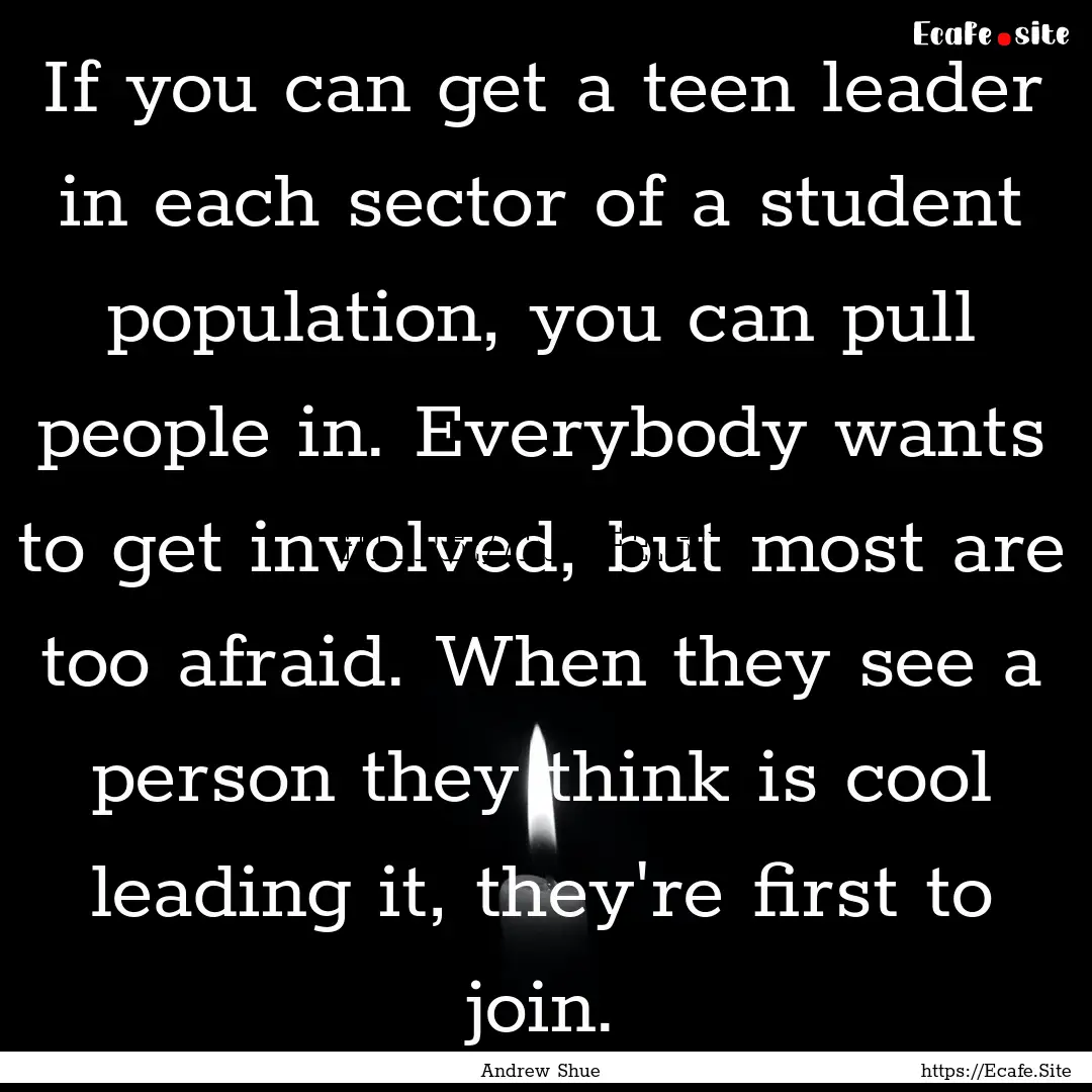 If you can get a teen leader in each sector.... : Quote by Andrew Shue