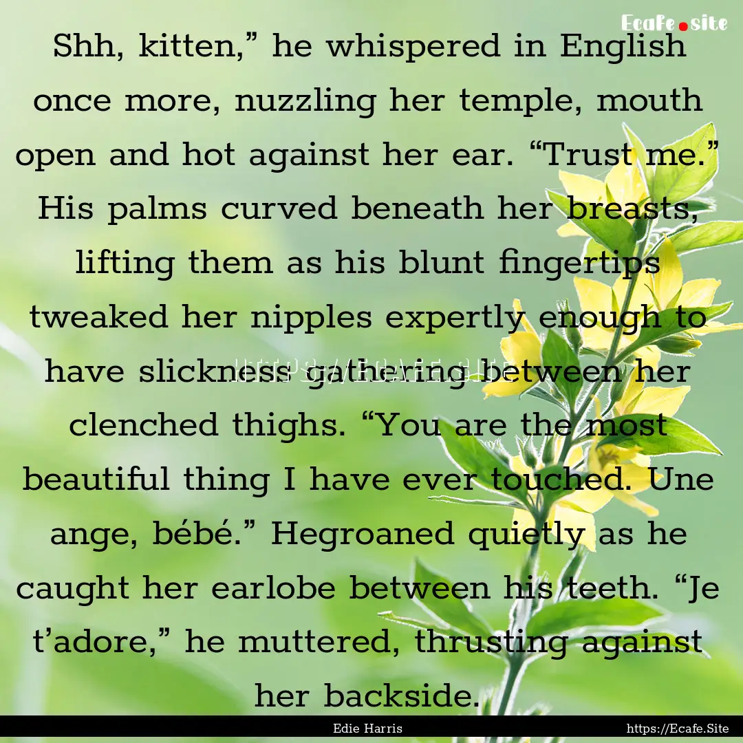 Shh, kitten,” he whispered in English once.... : Quote by Edie Harris