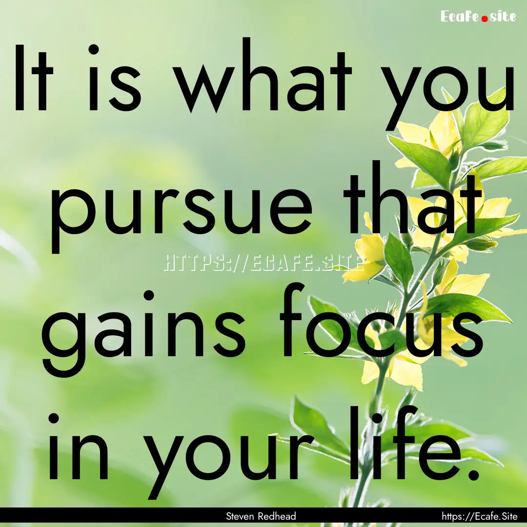 It is what you pursue that gains focus in.... : Quote by Steven Redhead