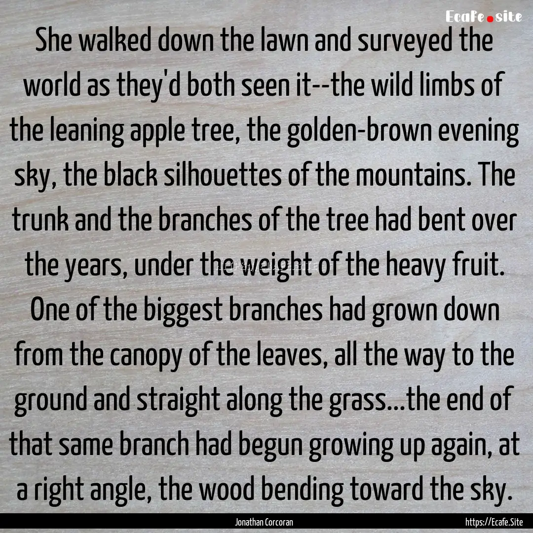 She walked down the lawn and surveyed the.... : Quote by Jonathan Corcoran