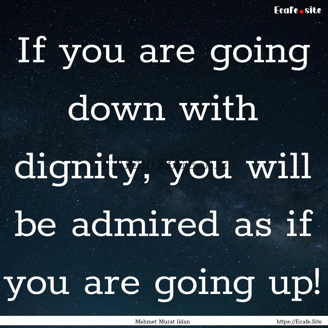 If you are going down with dignity, you will.... : Quote by Mehmet Murat ildan