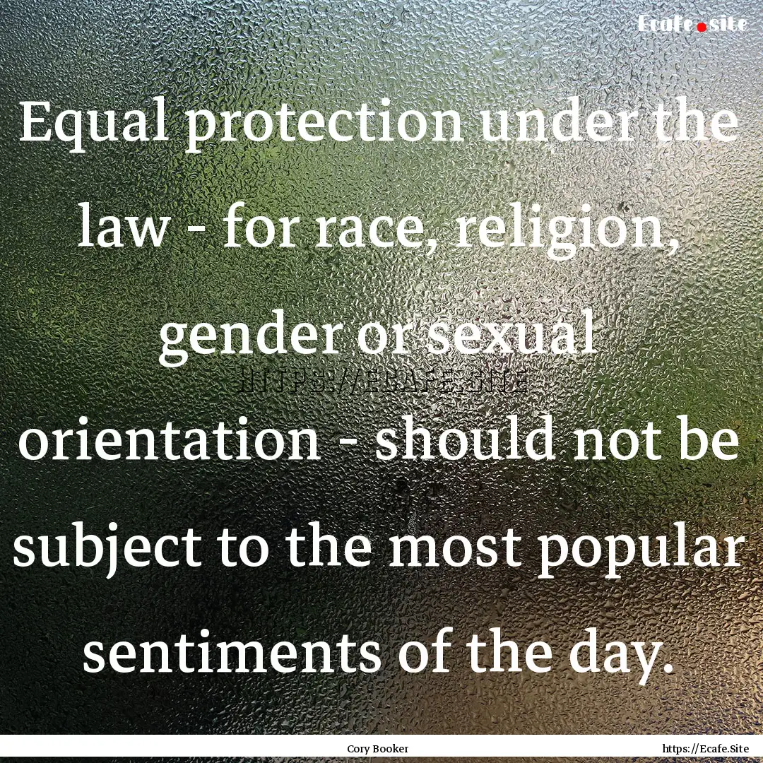 Equal protection under the law - for race,.... : Quote by Cory Booker