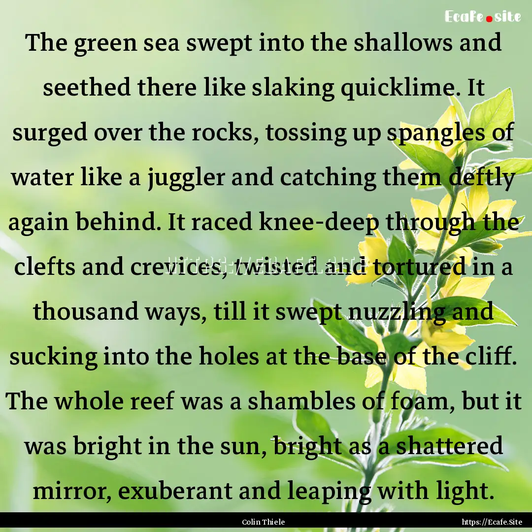 The green sea swept into the shallows and.... : Quote by Colin Thiele