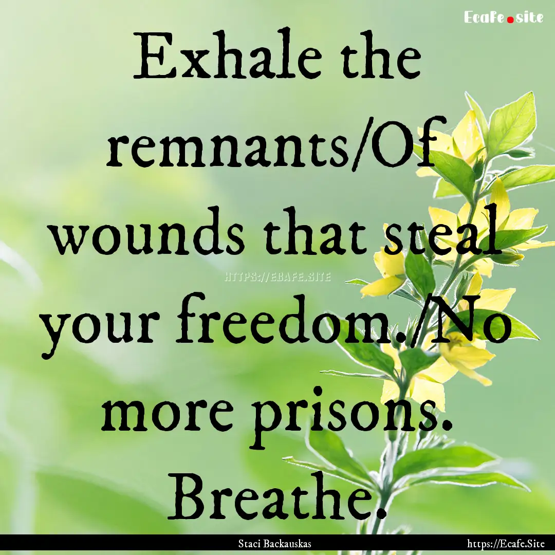 Exhale the remnants/Of wounds that steal.... : Quote by Staci Backauskas