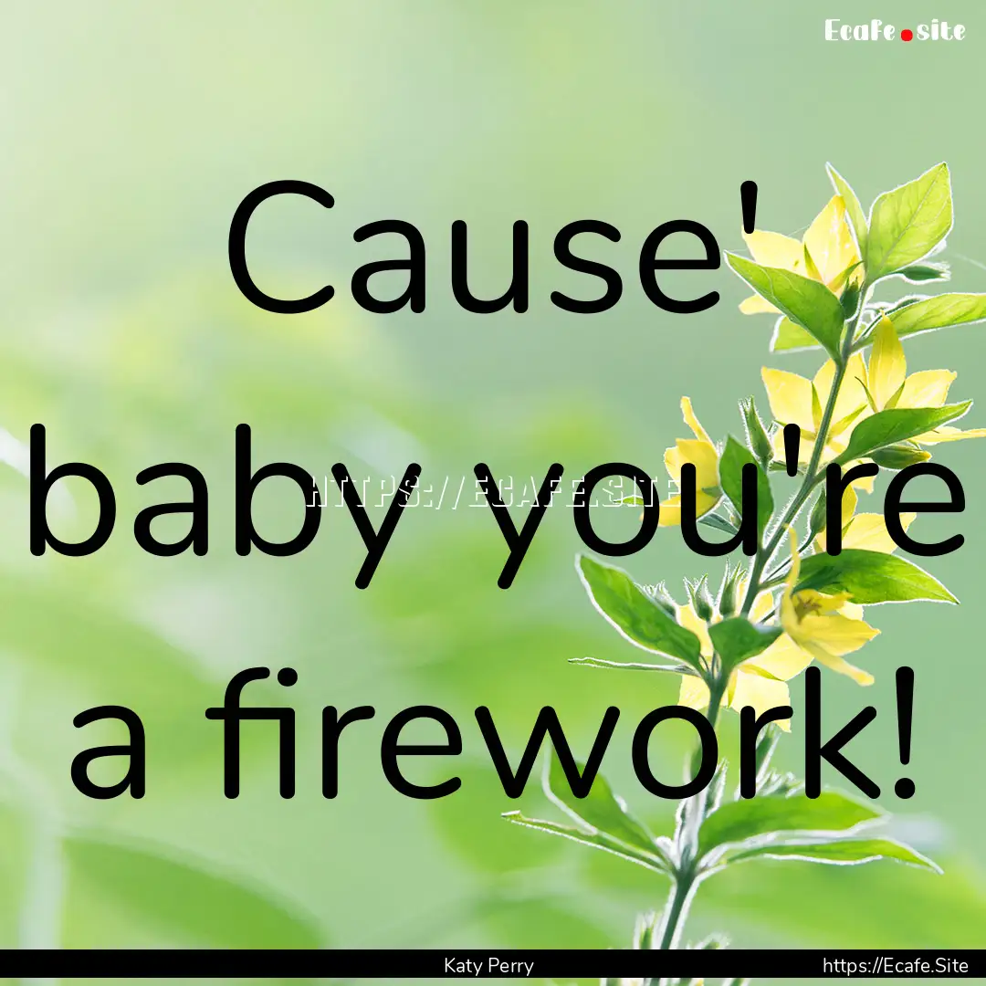 Cause' baby you're a firework! : Quote by Katy Perry