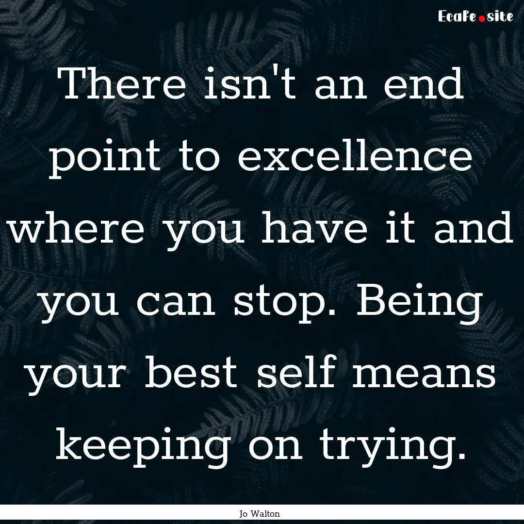 There isn't an end point to excellence where.... : Quote by Jo Walton