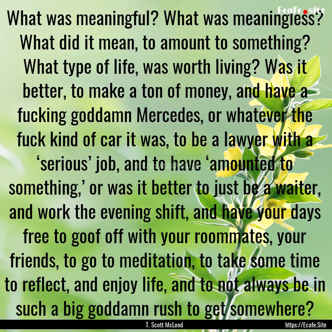 What was meaningful? What was meaningless?.... : Quote by T. Scott McLeod