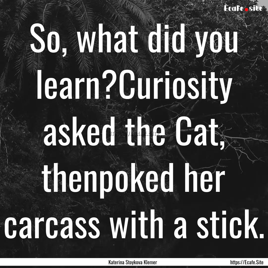 So, what did you learn?Curiosity asked the.... : Quote by Katerina Stoykova Klemer