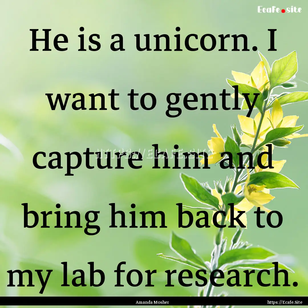 He is a unicorn. I want to gently capture.... : Quote by Amanda Mosher