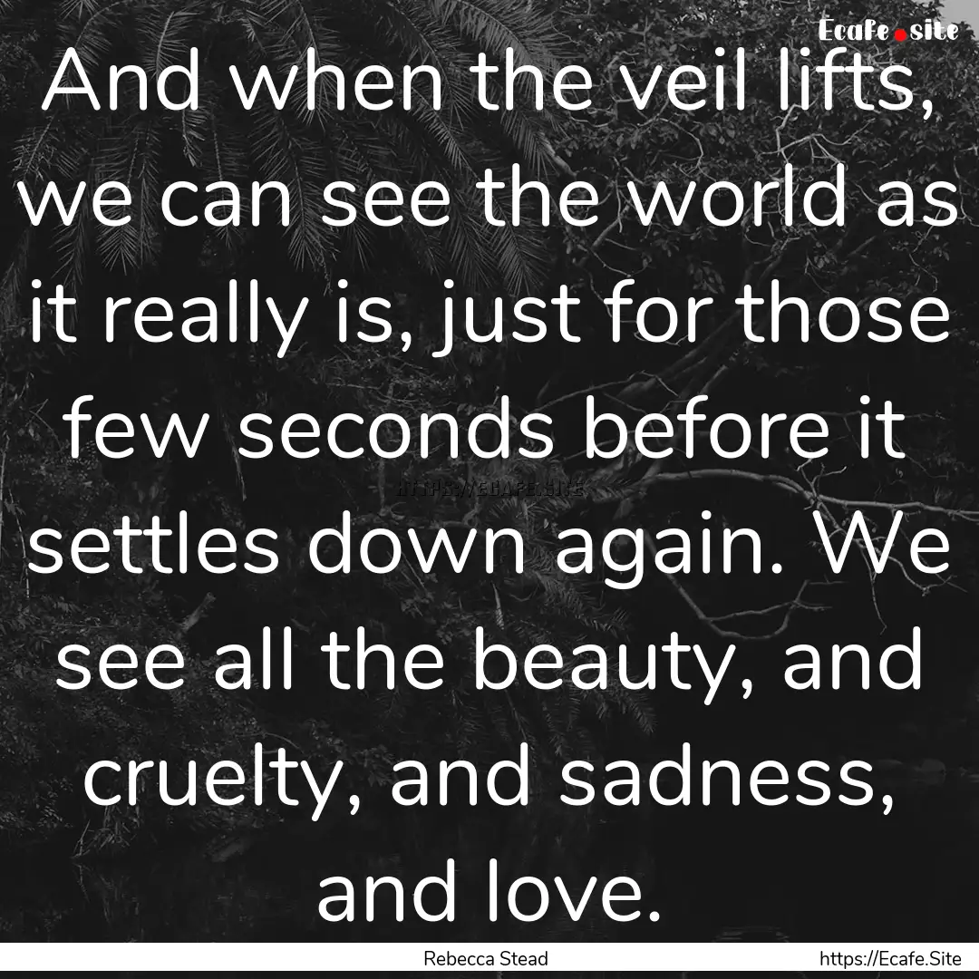 And when the veil lifts, we can see the world.... : Quote by Rebecca Stead