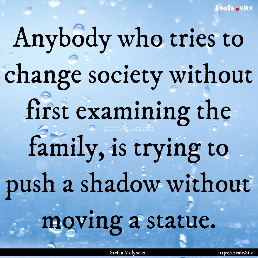 Anybody who tries to change society without.... : Quote by Stefan Molyneux