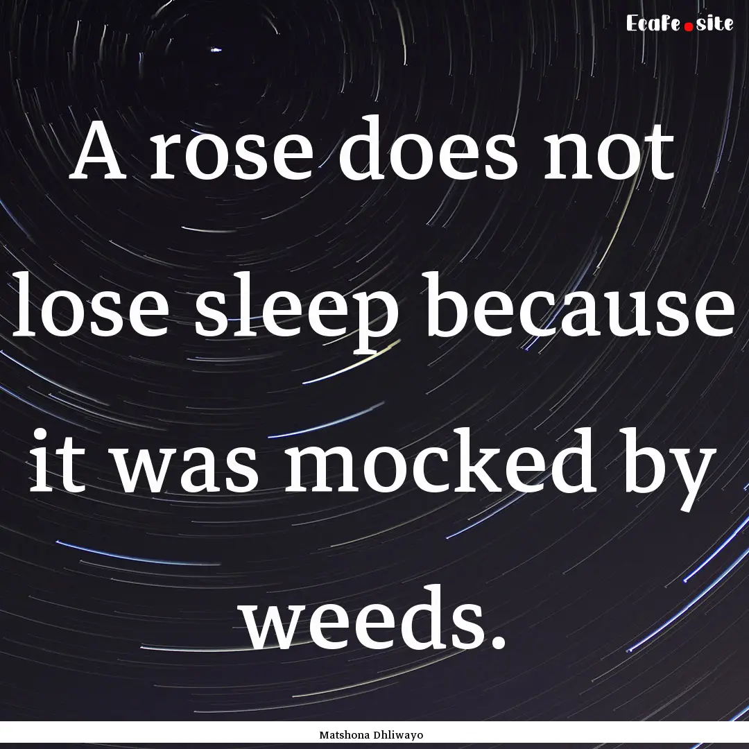 A rose does not lose sleep because it was.... : Quote by Matshona Dhliwayo