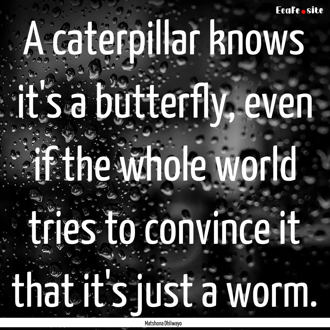 A caterpillar knows it's a butterfly, even.... : Quote by Matshona Dhliwayo