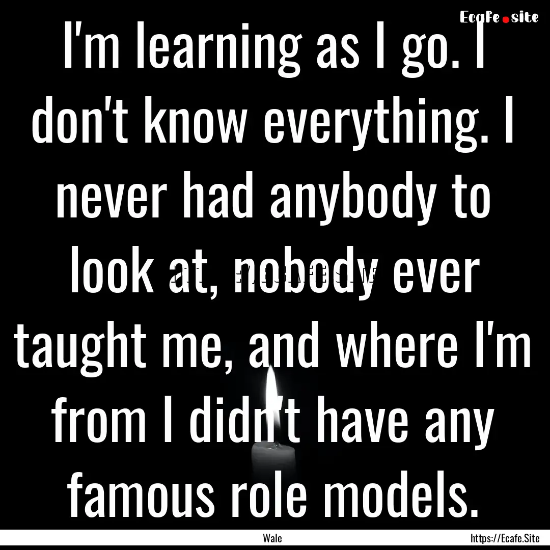 I'm learning as I go. I don't know everything..... : Quote by Wale