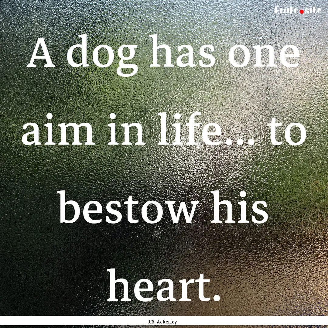 A dog has one aim in life... to bestow his.... : Quote by J.R. Ackerley