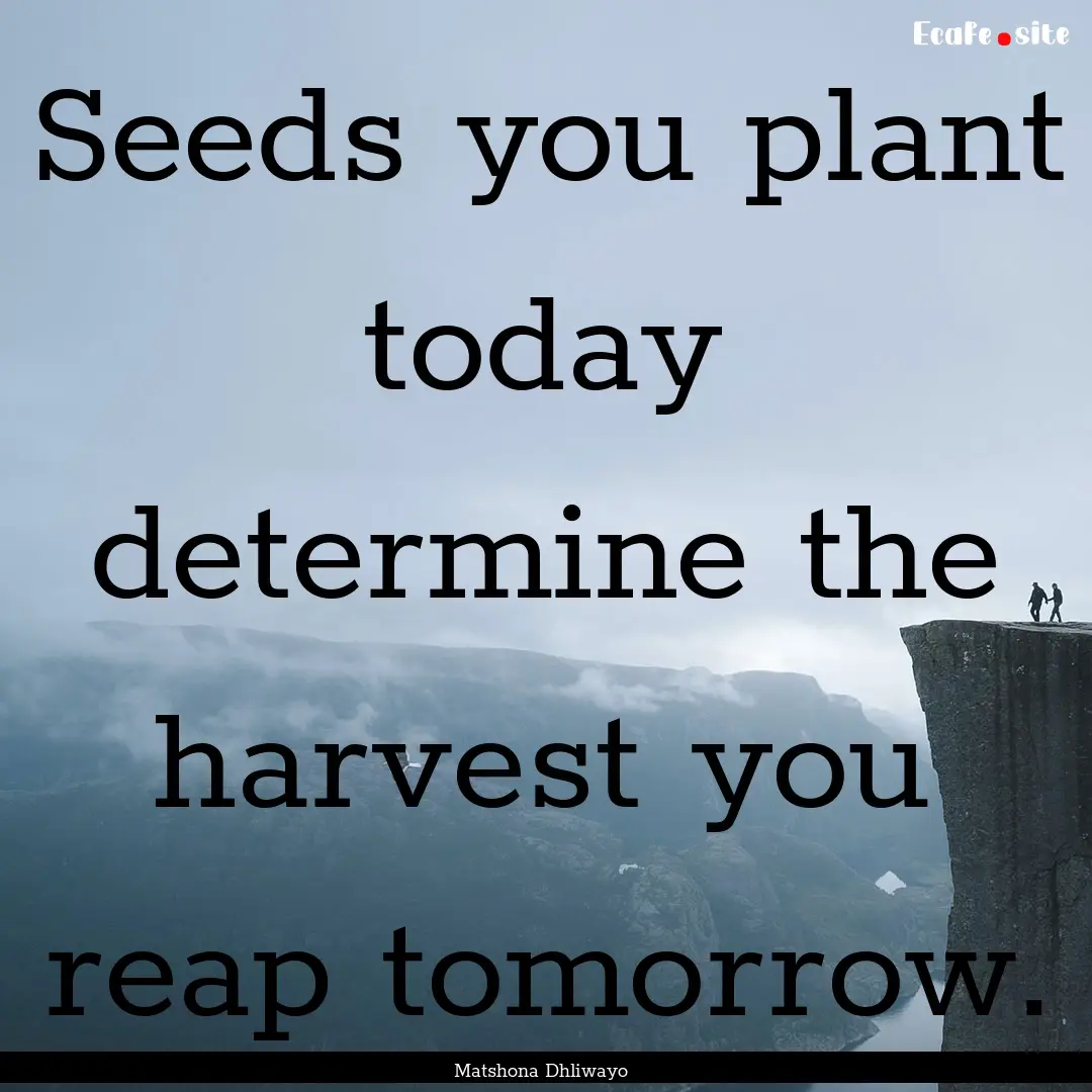 Seeds you plant today determine the harvest.... : Quote by Matshona Dhliwayo