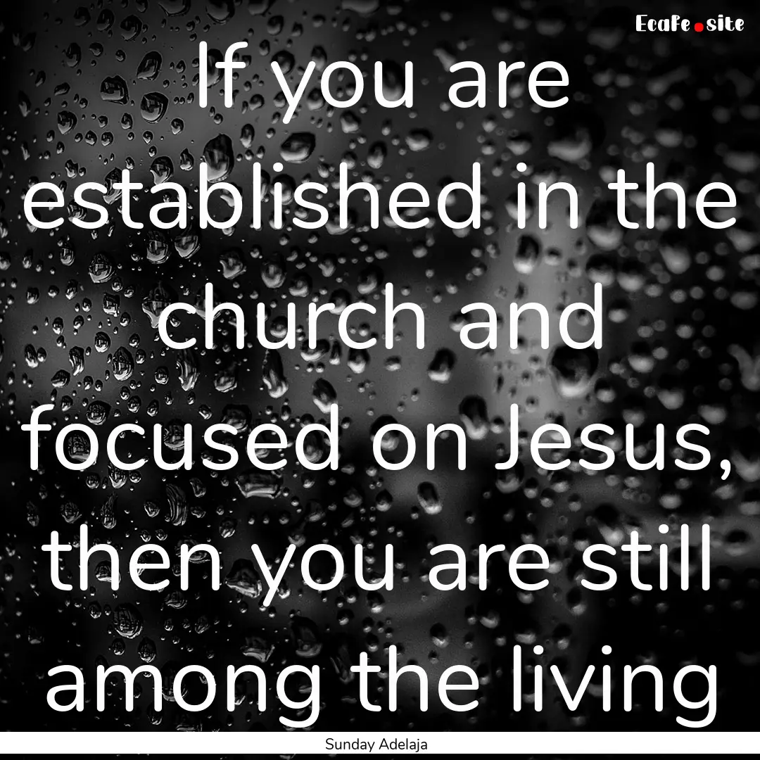 If you are established in the church and.... : Quote by Sunday Adelaja