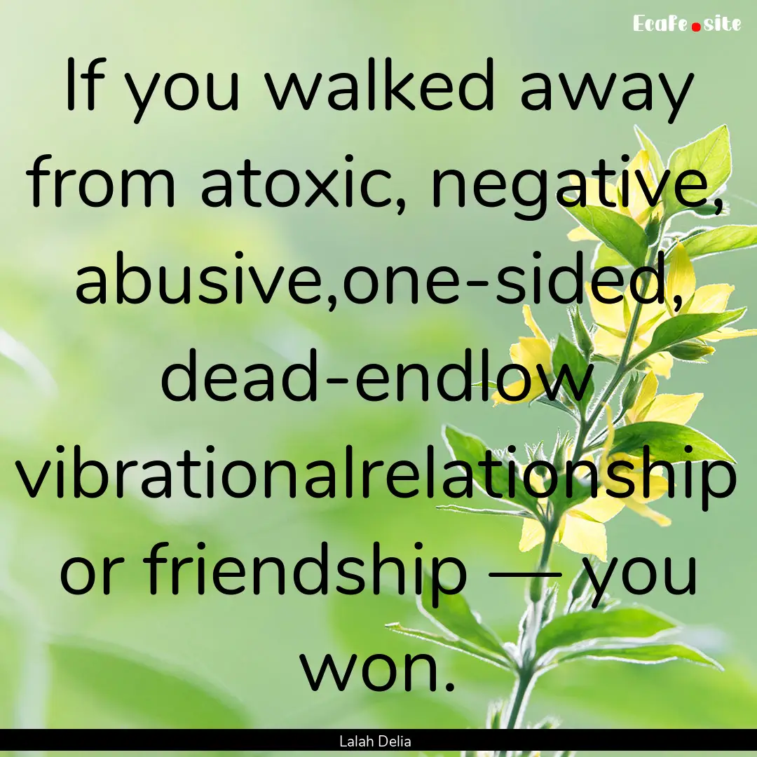 If you walked away from atoxic, negative,.... : Quote by Lalah Delia